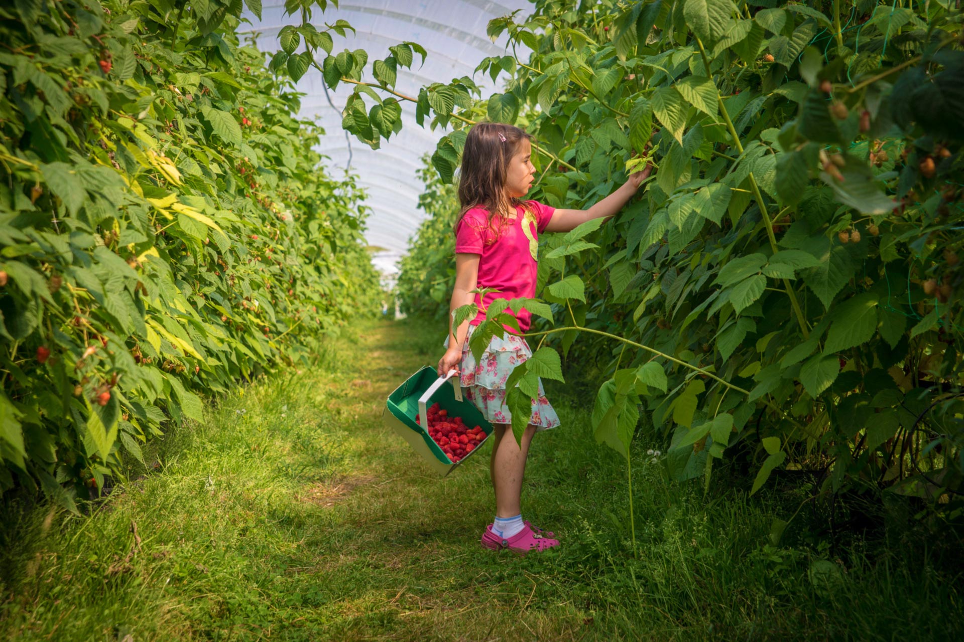 Farm Stays & Holidays in Scotland | VisitScotland