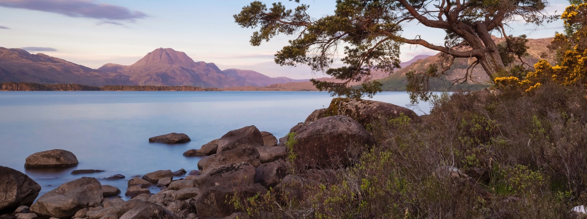 Looking past a tree and rocky shore, over Loch Maree, with the mountain Slioch in the background