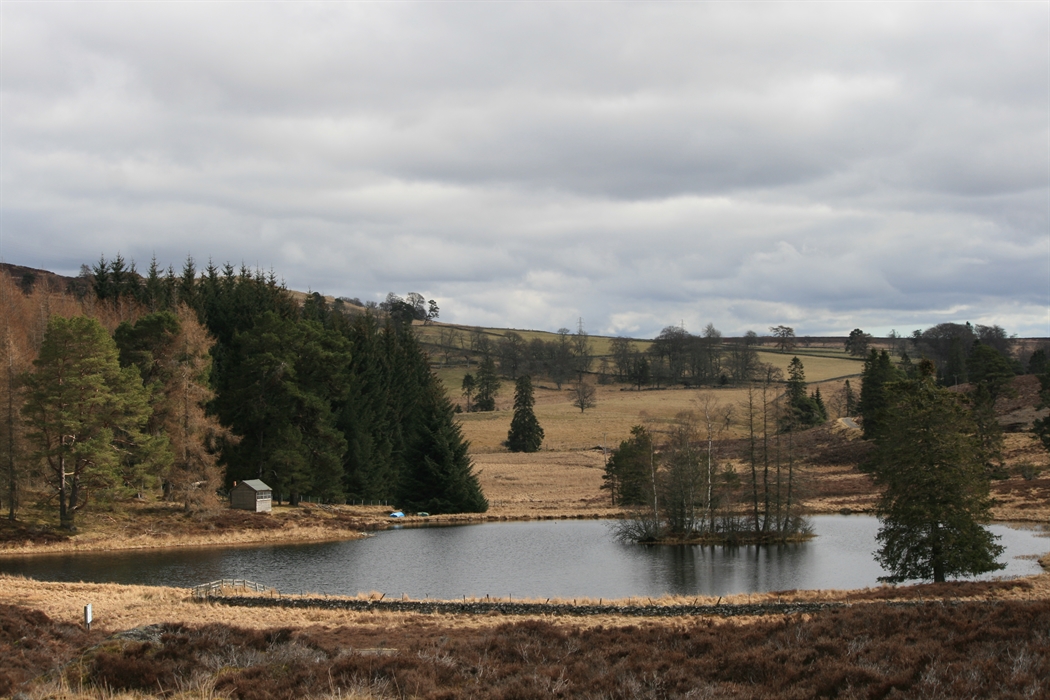 The Hirsel | VisitScotland